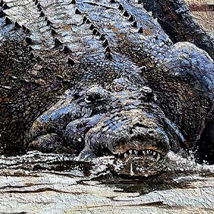 Artist Kobus Moller Risk and Reward