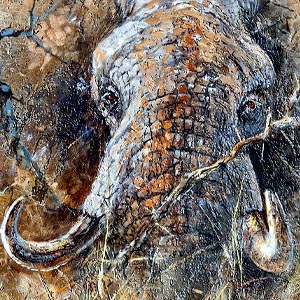 Artist Kobus Moller Risk and Reward