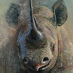 Artist Kobus Moller Risk and Reward
