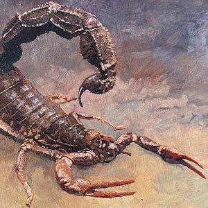 Artist Kobus Moller Risk and Reward